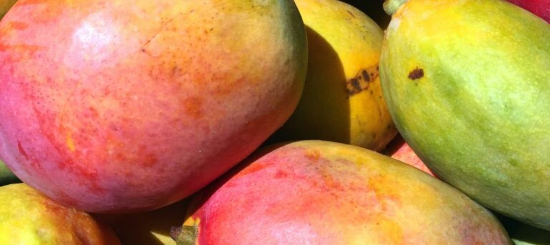 La ce temperatură trebuie păstrat mango ca să reziste mai mult. Greșeala care îl face să se strice mai repede