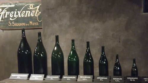 Freixenet, marca de cava care a ajuns din pivnițele din Catalonia în magazinele din întreaga lume. Istoria unui brand, a unei familii și a unui succes mondial