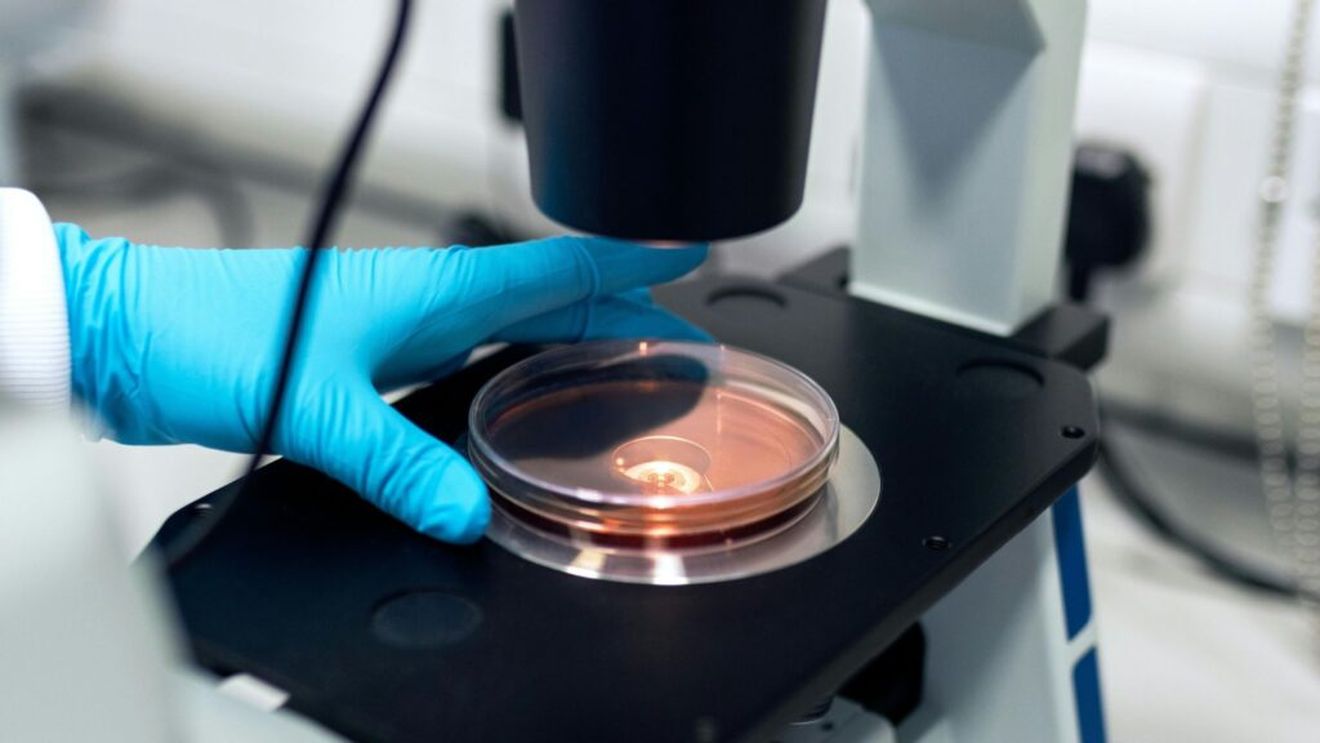 Alertă în SUA: Cel puțin 12 oameni au murit în contextul unei epidemii declanşate de infecţii cu Listeria asociate cu shake-uri care conţin suplimente alimentare