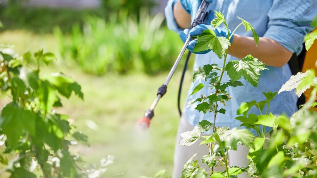 Eficiență în combaterea buruienilor: Cum dozăm corect erbicidul total?