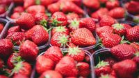 ANALIZĂ | Piața globală a căpșunilor în 2026: Fructele spaniole se vând cu 2,50–2,80 euro/kg, iar cele italiene ajung la 3,00–6,00 euro/kg / Germania, UK și Franța, dependente de importuri