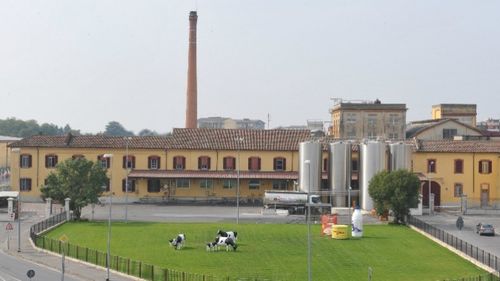 Cum a fost creată și cum este organizată cooperativa Latteria Soresina din Italia. Produce peste 5 milioane de forme de Grana Padano și are o cifră de afaceri de peste 500 de milioane de euro, anual