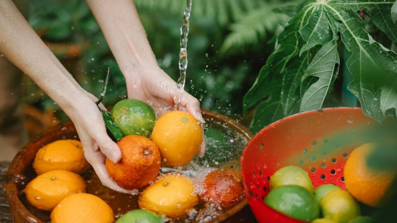 Guvernul francez va menține activă Agenția Bio, după ce Senatul a adoptat recent un amendament care prevede desființarea acestei instituții dedicate agriculturii ecologice