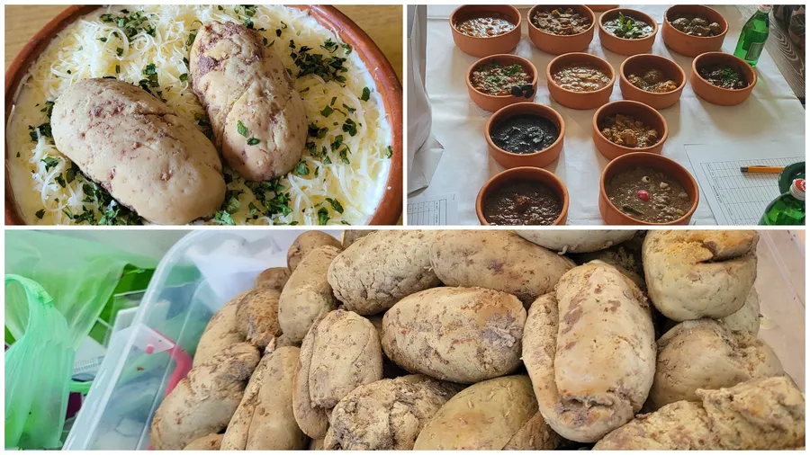 campionat mondial fudulii