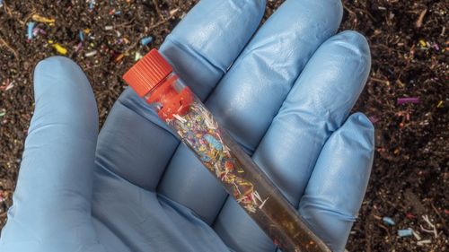 Microplasticul care poluează terenurile agricole riscă în timp să ducă la foamete, împiedicând procesul de fotosinteză, iar fenomenul afectează deja culturile de cereale, indică un metastudiu recent