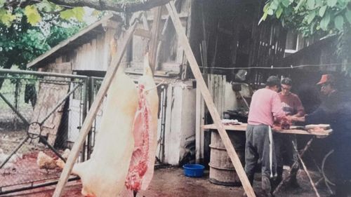 Tradiţiile de Ignat, inclusiv pregătirea porcului şi a produselor tradiţionale din porc. la Muzeul Viticulturii şi Pomiculturii de la Goleşti/ Între 19 şi 23 decembrie, vizitatorii sunt așteptați la „Crăciun la conac"