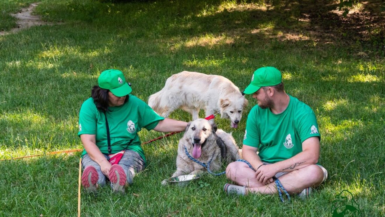 Toamna vine la Adăpostul Speranţa: Un borcan cu zacuscă pentru vizitatori, unul cu speranţă pentru câini