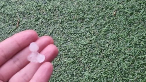 FOTO-VIDEO | Ploaie cu grindină în Ilfov / Proprietarii de grădini și terenuri agricole se tem că legumele și fructele vor fi afectate