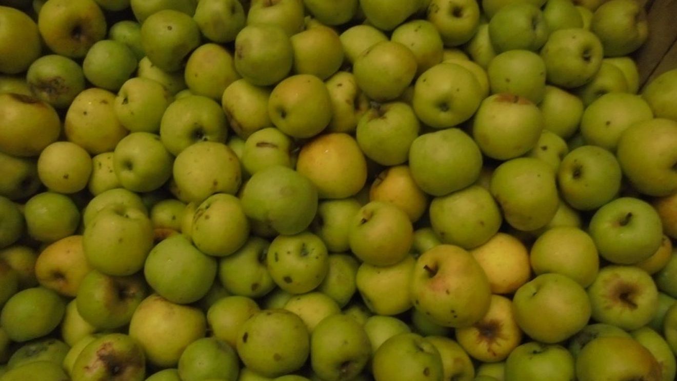 Lanțulalimentar.ro în județul Dâmbovița: De ce merele din Polonia sunt livrate în școlile din România