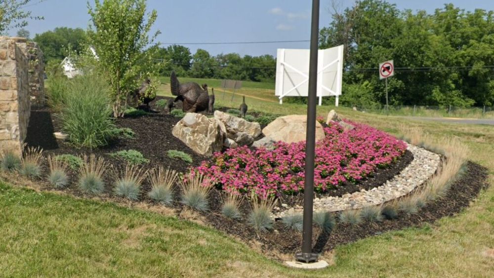 Un hoț mascat a furat o statuie de curcan din bronz în valoare de 15.000 de dolari de la o fermă avicolă