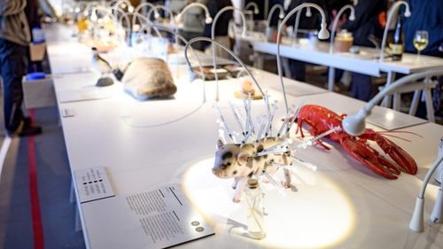 Știai că există muzee ale mâncărurilor dezgustătoare? Vizitatorii primesc o pungă pentru vomă la intrare / Printre exponate se numără moarea de varză murată și supa din burtă de vită