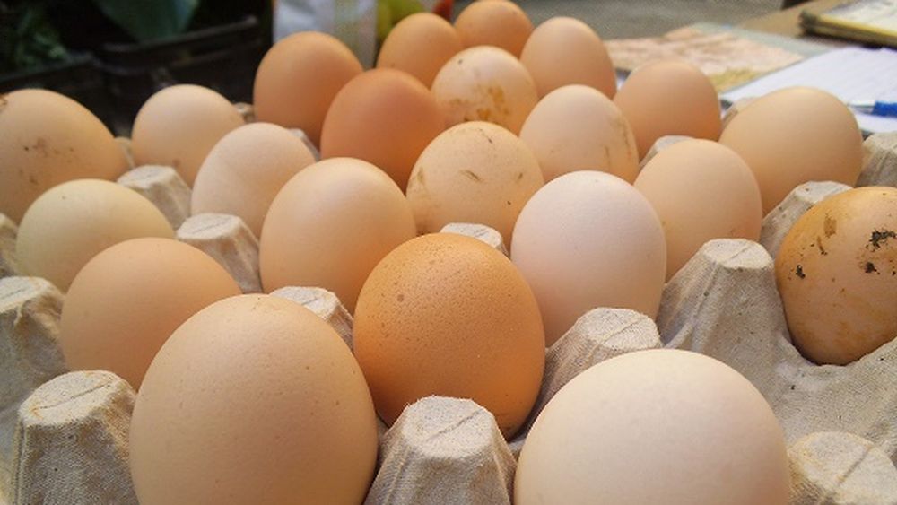 Ouă produse la o fermă din Vaslui, retrase de la raft din cauza contaminării cu Salmonella