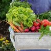 VIDEO | Nutriția, parte esențială în tratamentul pacienților cu cancer renal. Specialiștii atrag atenția asupra rolului alimentației în recuperare/ Dietetician: „O masă mâncată cu liniște poate fi parte din tratament”