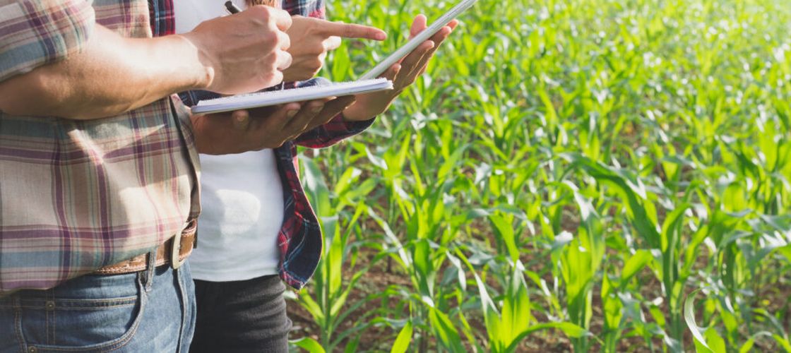 Comisia Europeană pregătește agricultura și sistemul alimentar pentru 2040 / Inovațiile trebuie să ajungă mai repede din laboratoare în ferme