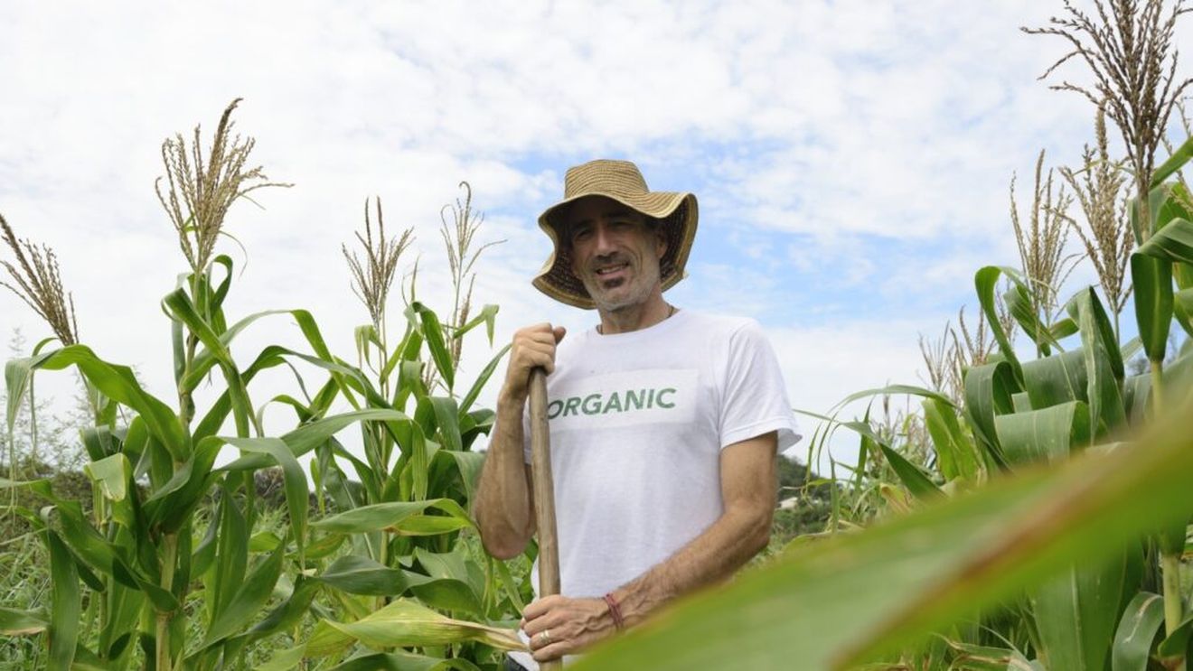 INFOGRAFIC Suprafața cultivată ecologic din UE a ajuns la 10,5% din terenurile agricole, dar este încă departe de obiectivul pentru 2030 / România, printre codașe - a depășit ușor pragul de 5%