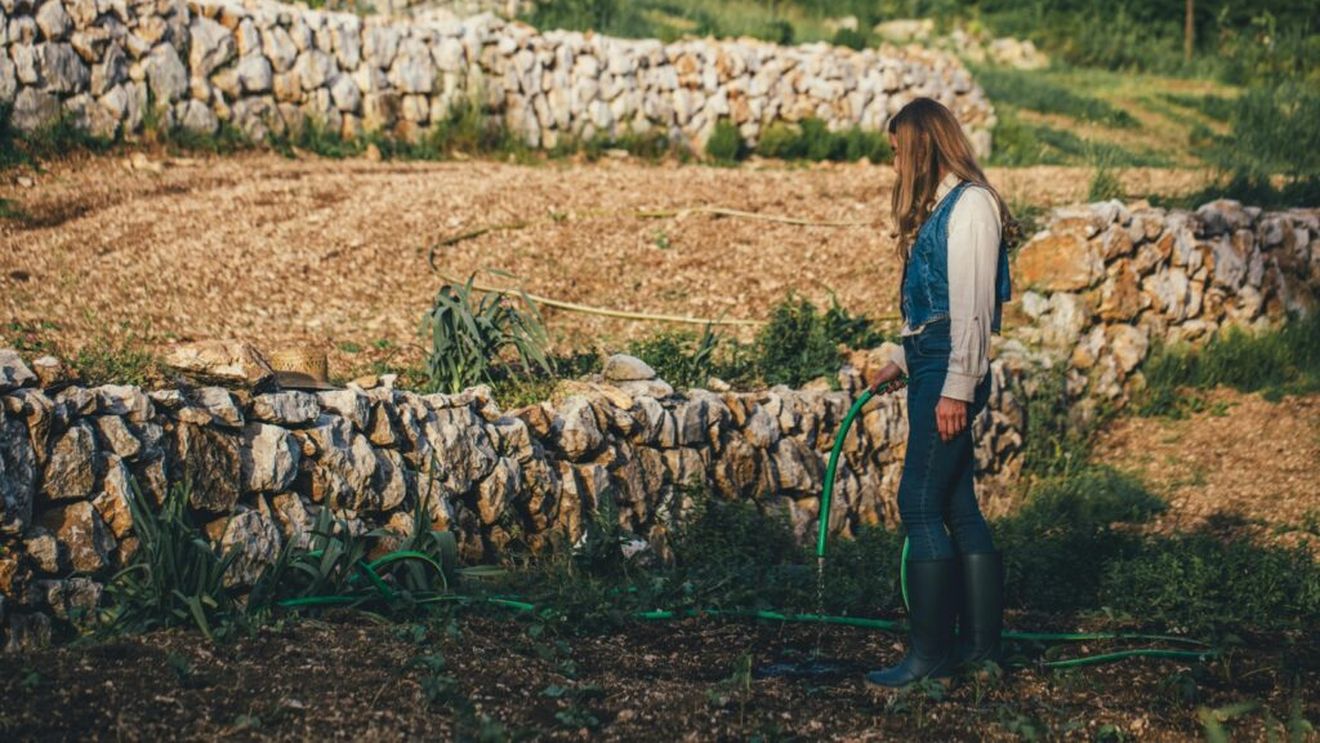 Cum poți începe o fermă de permacultură. Principii, organizare și pași concreți