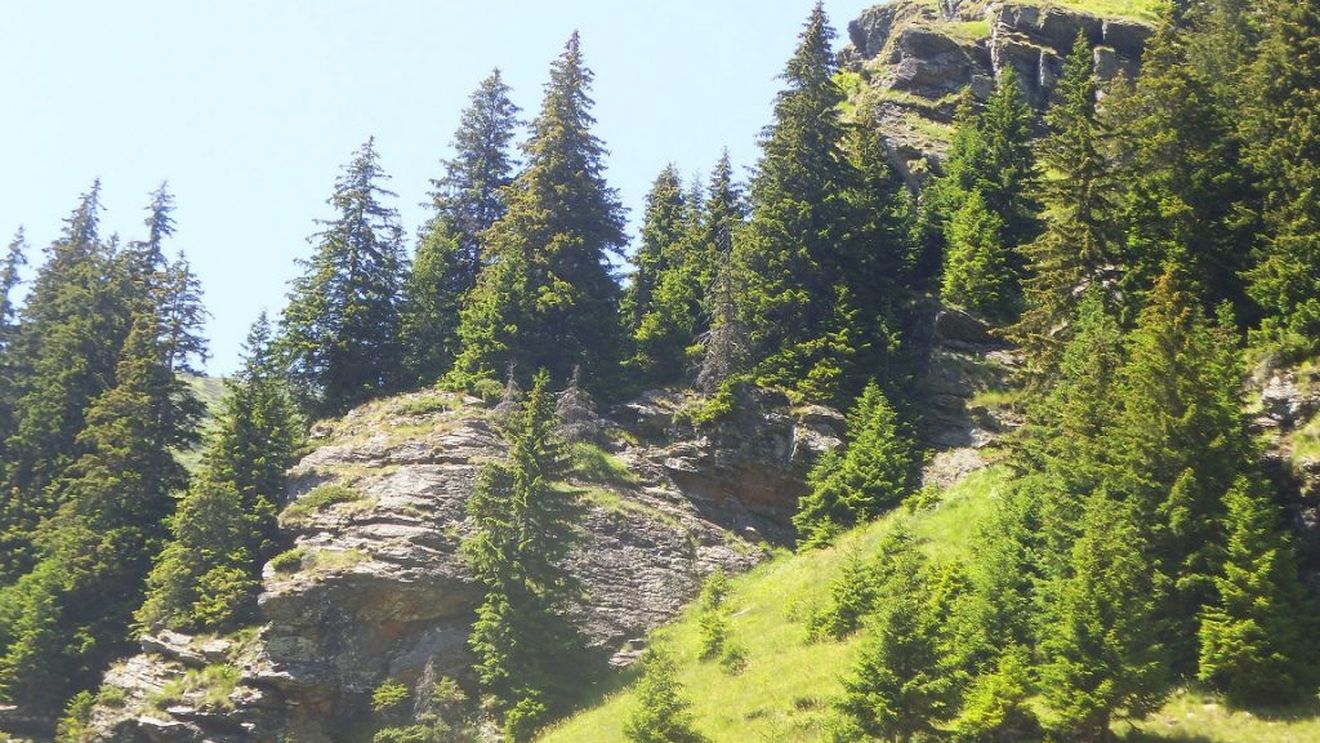 Sprijinul PSD pentru zona montană: legi peste legi, dar, deocamdată, niciun proiect nu a primit finanțare