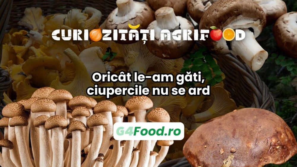 Curiozități agrifood - 14 aprilie: Oricât le-am găti, ciupercile nu se ard