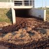 Cât gunoi de grajd se poate aplica la hectar/ Gunoiul de pasăre poate furniza până la 15 kg de azot pe tonă