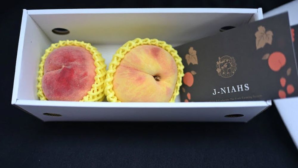 Harrods vinde piersici din Fukushima la prețul de 30 de euro bucata: „Au o dulceață și suculență unice”. Fermierii japonezi încearcă să recâștige încrederea consumatorilor și să-și revitalizeze activitatea