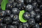 Sucul de aronia, fructul numit și „aur negru”, are efecte asupra glicemiei și tensiunii / Un nou studiu arată și un posibil rol important în echilibrul microbiomului intestinal
