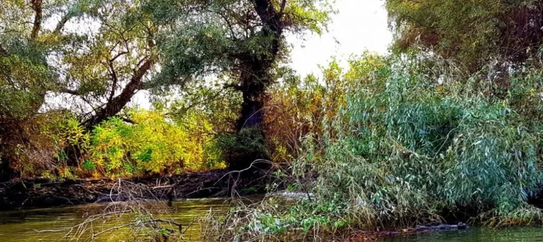 Asociația Patronatelor din Turism Delta Dunării cere decolmatarea de urgență a canalului Uzlina. Accesul spre mai multe localități turistice este îngreunat
