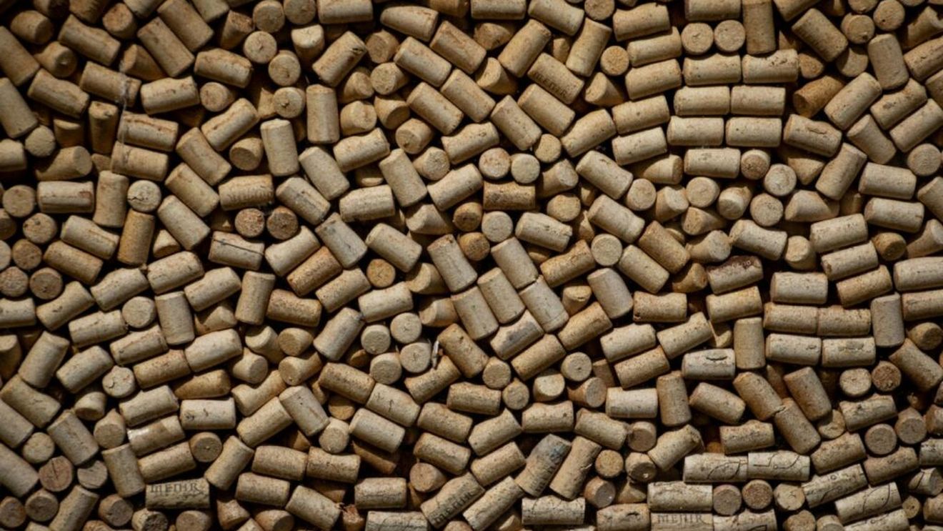 Pluta, unul dintre cele mai sustenabile materiale din lume, ne-ar putea rupe dependența de plastic