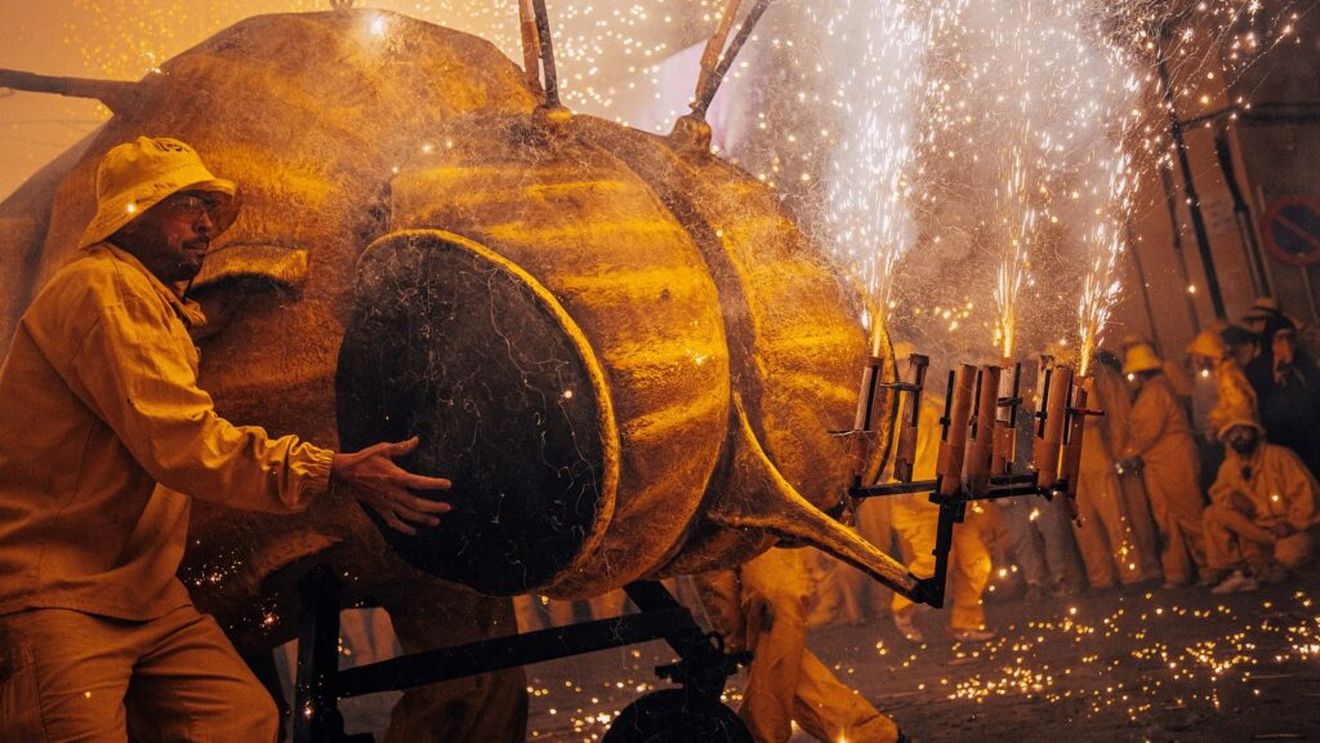 VIDEO | De la Sarmale la Tapas | Povestea „Sărbătorii Filoxerei” sau cum rememorează o regiune viticolă, în fiecare an, un episod istoric în care producătorii de vin au învins invazia acestor temute insecte/ Cât e istorie și cât e promovare turistică în astfel de sărbători locale