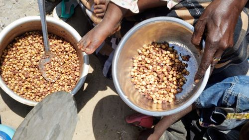 Reducerea ajutorului alimentar către Afganistan şi Yemen, de către administraţia Trump, pune milioane de oameni în pericol, spun surse umanitare