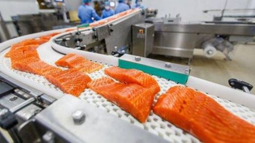 Locuri de muncă în Uniunea Europeană prin intermediul EURES România / Cele mai multe, în Norvegia, la bucătărie, prelucrarea somonului, sau ferme bovine ori industria piscicolă