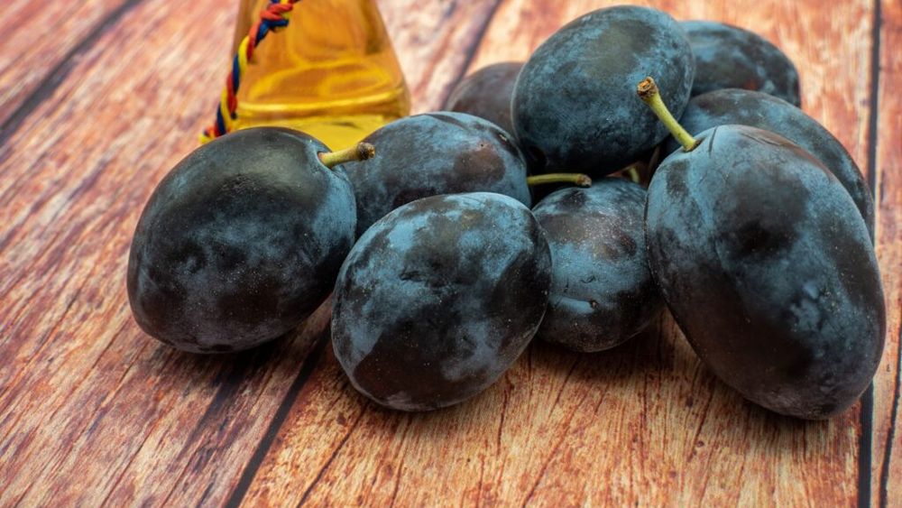 Prune din belșug și prețuri mai mici în acest an. Soiul Doina, creat la Bistrița, a câștigat locul I la Zilele Prunului”