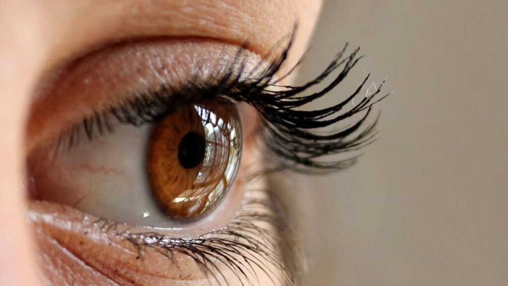 Cea mai bună dietă pentru prevenirea cataractei/ Fructele și legumele colorate, cerealele integrale, peștele gras și oleaginoasele, ideale pentru menținerea unei vederi sănătoase și prevenirea cataractei