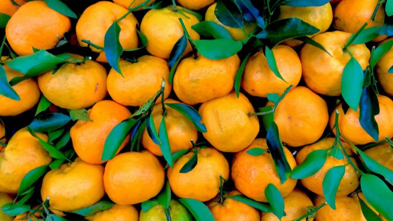 Pesticid neautorizat, depistat în mandarine importate din Egipt, pe piața românească