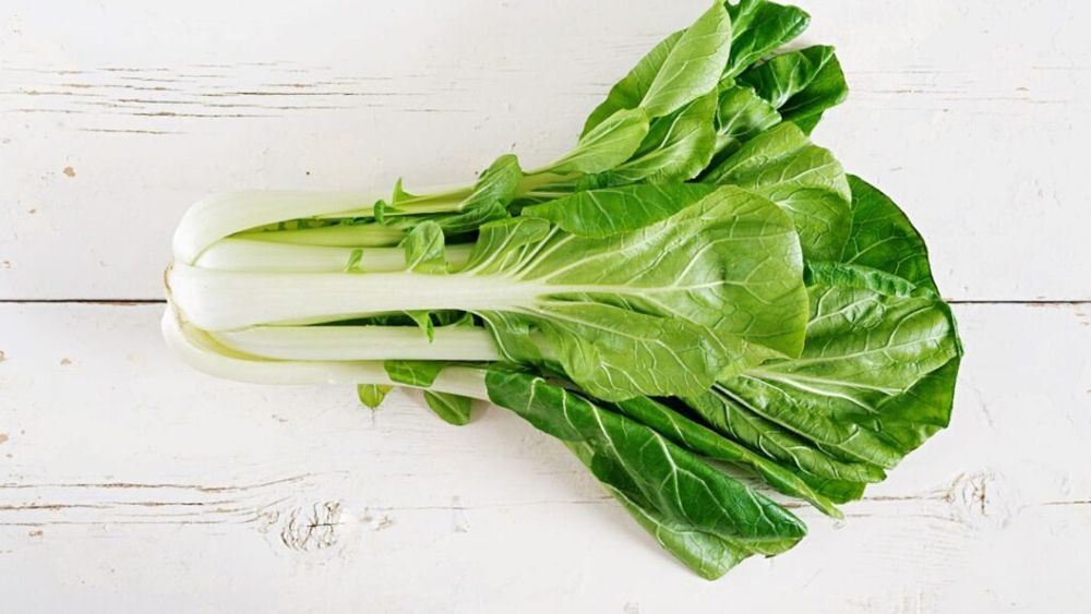 Ce este pak choi, leguma chinezească pe care o găsim și în supermarketurile din Romania, foarte ușor de cultivat în grădină. Scade colesterolul și este o sursă importanta de fibre și micronutrienți