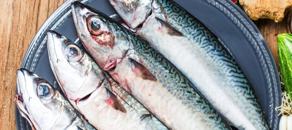 Aproape 600 de kilograme de scrumbie, confiscate la o pensiune din Delta Dunării / Peștele nu avea acte de proveniență, iar întreaga cantitate va fi distrusă