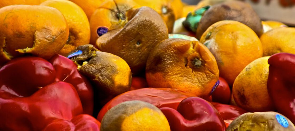 12.000 de tone de coji de portocală au fost aruncate pe un teren degradat / Ce s-a întâmplat cu locul după aproape 30 de ani
