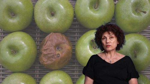 VIDEO | Cum este afectată calitatea produselor alimentare de pesticidele contrafăcute / Director AIPROM: „Produsul nu trece prin nicio procedură de testare. Pur și simplu cineva le produce și le pune pe piață”