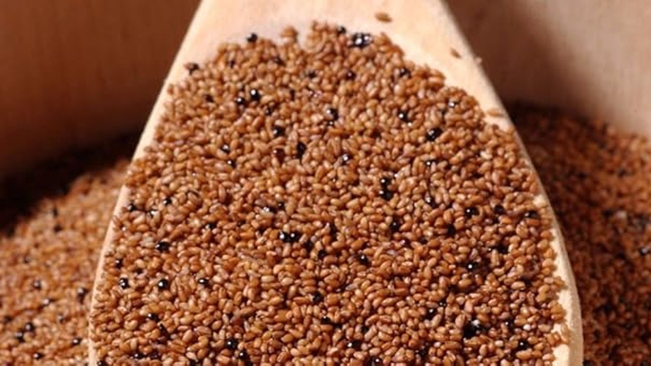Teff - cereala africană fără gluten, aproape necunoscută în bucătăria europeană/ Conține proteine de calitate, o mare varietate de nutrienți și și-a păstrat proprietățile intacte de-a lungul timpului, fără efectele negative ale agriculturii convenționale