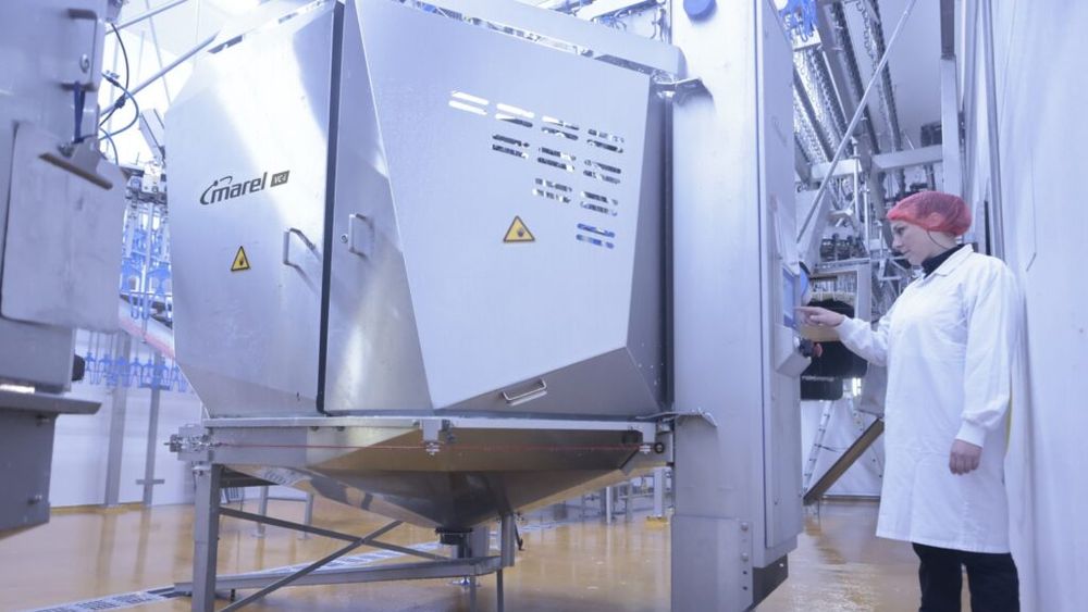 Cum schimbă AI procesarea cărnii de pasăre: Ce este tehnologia VC-i și cum revoluționează întreg procesul de eviscerare