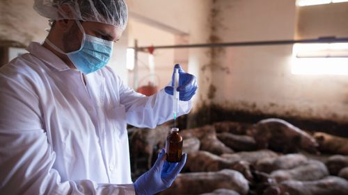 Bacteriile din alimente devin tot mai rezistente la antibiotice în Europa / Terapiile obișnuite își pierd eficiența în fața unor infecții precum cele cu Salmonella și Campylobacter