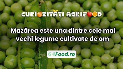 Curiozitate agri-food: Mazărea este una dintre cele mai vechi legume cultivate de om / Dovezi arheologice arată că a fost consumată încă de acum 10.000 de ani