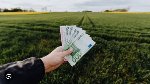 Parchetul European anunță posibile fraude de 4,3 milioane de euro. Cea mai mare parte a banilor fraudați ar proveni din Fondul European de Dezvoltare Regională, Fondul European Agricol pentru Dezvoltare Rurală și Programul Operațional Regional
