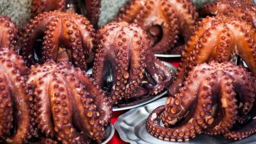 Cum se fierbe caracatița. Pare complicat, dar e la îndemâna oricui