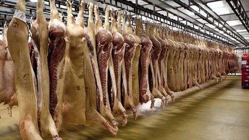 Producția de carne și lactate nu poluează atât de rău pe cât se crede/ Mai multe studii indică faptul că impactul asupra mediului este în realitate la jumătate față de estimările actuale/ O nouă perspectivă asupra sustenabilității