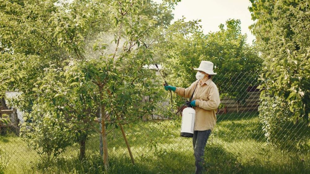 Studiu american arată că tot mai mulţi "poluanţi eterni" sunt prezenţi în pesticide în SUA