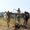 Un El Niño puternic ar putea împinge încă 49 de milioane de oameni spre foamete acută până la finalul lui 2027. Avertismentul ONU