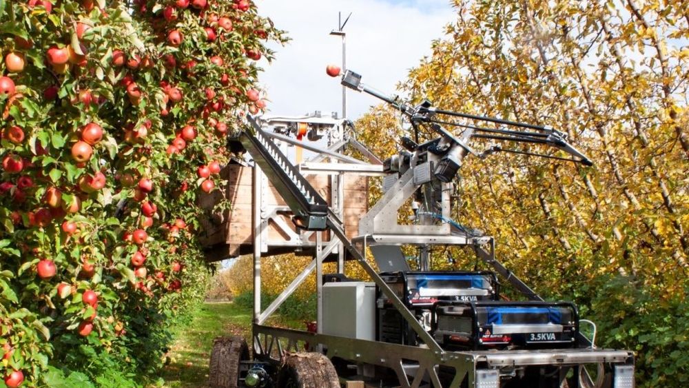 Proiectul ”Eva”, robotul conceput să culeagă fructe mai rapid decât omul; mașina se află, în prezent, în teste, în Australia