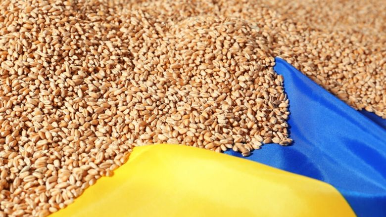 Reglementările UE în agricultură ar putea fi adoptate de Ucraina/ Sectorul agroalimentar românesc va participa la reconstrucția țării vecine (Declarația Comună privind stabilirea Parteneriatului Strategic între România și Ucraina)