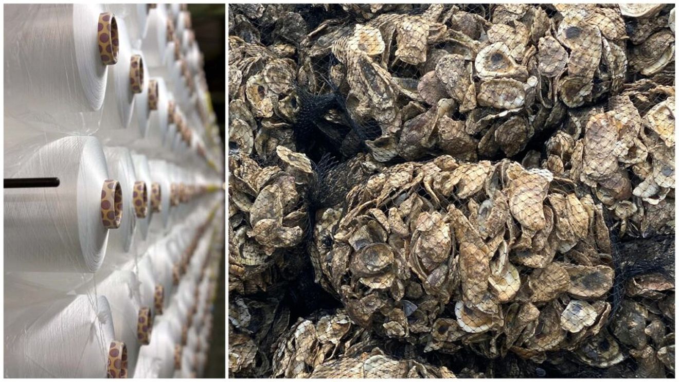 Un antreprenor din Taiwan transformă cochiliile de stridii în „lână de mare”, din care sunt create textile