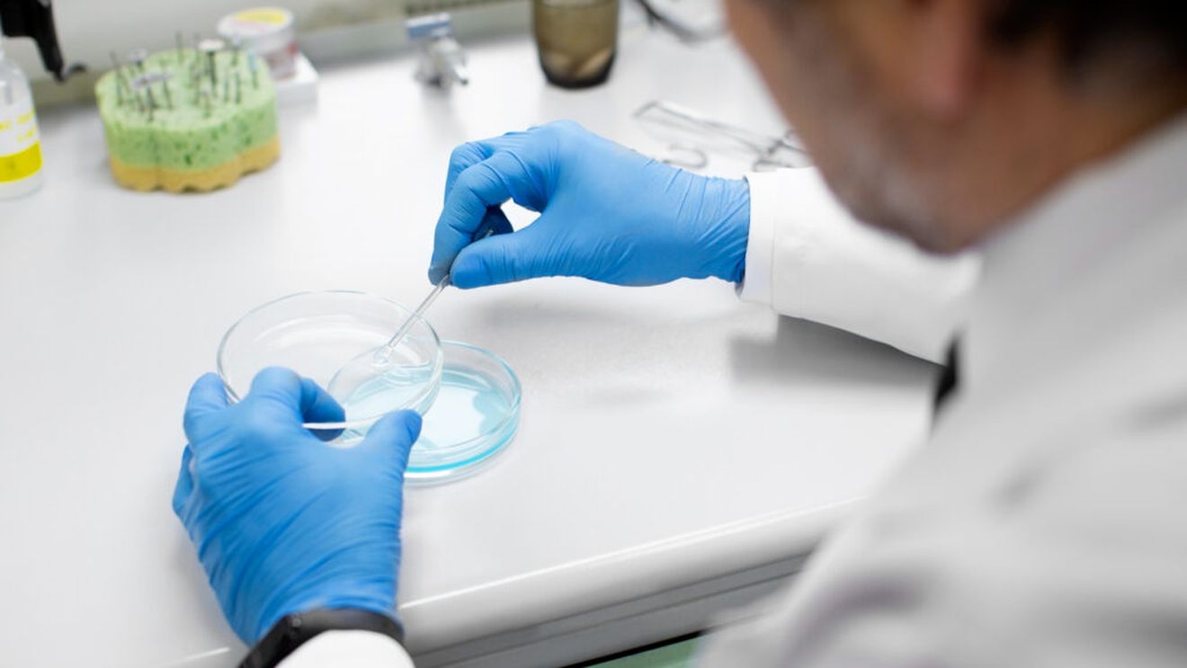 Compania neozeelandeză Daisy Lab face un pas uriaș în producția de lactoferină fără lapte animal / Proteina valoroasă, obținută prin fermentație de precizie, ar putea schimba industria lactatelor